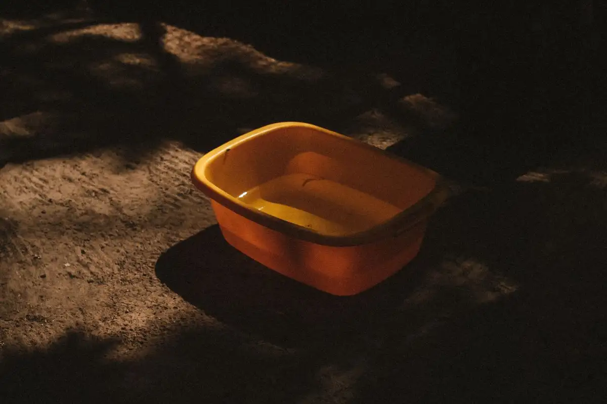Langkah Mencuci Litter Box agar Tidak Bau Urine Total